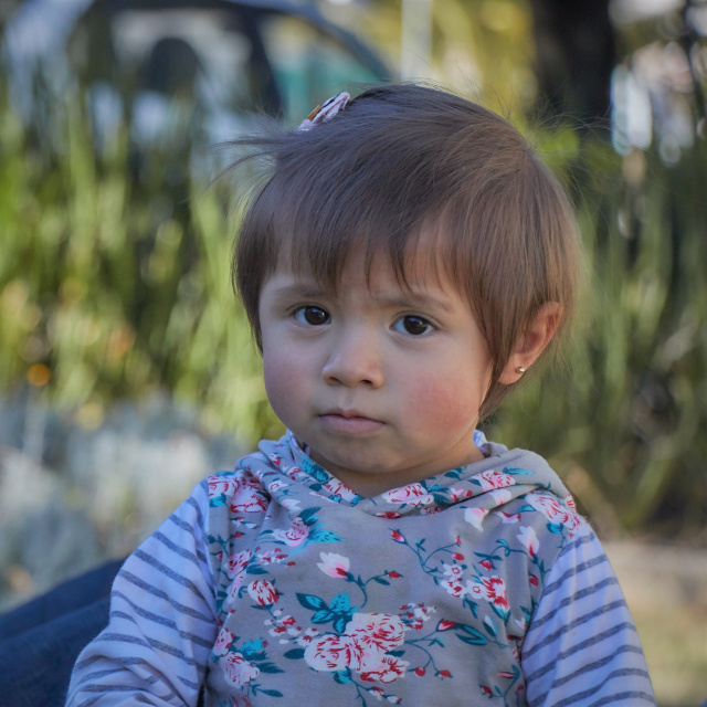 Victoria en el Jardín
